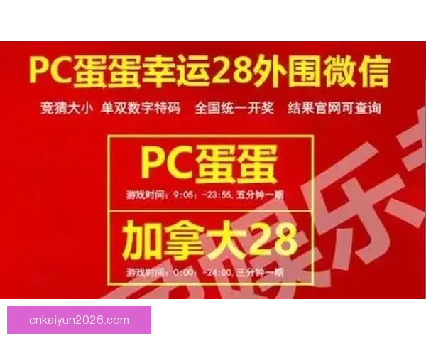 世界杯竞猜投注规则解析与投注技巧分享助您赢得更多奖励